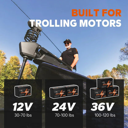 LiTime 12V 100Ah TM LiFePO4 Lithium Battery Built in 100A BMS