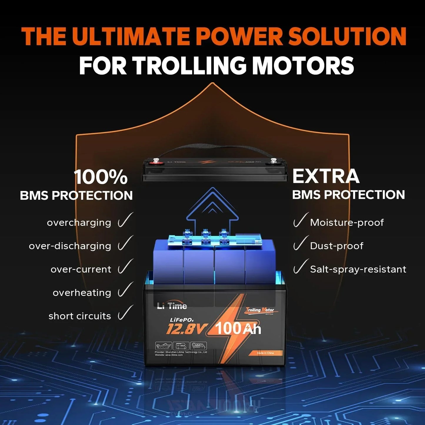 LiTime 12V 100Ah TM LiFePO4 Lithium Battery Built in 100A BMS